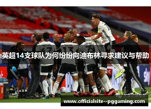 英超14支球队为何纷纷向迪布林寻求建议与帮助