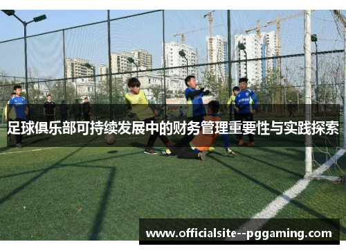 足球俱乐部可持续发展中的财务管理重要性与实践探索