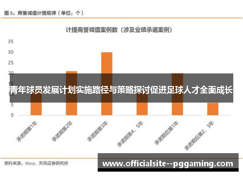 青年球员发展计划实施路径与策略探讨促进足球人才全面成长